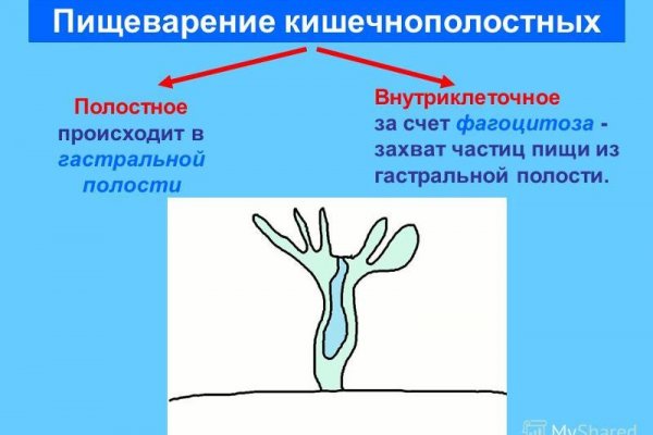 Актуальная ссылка на кракен