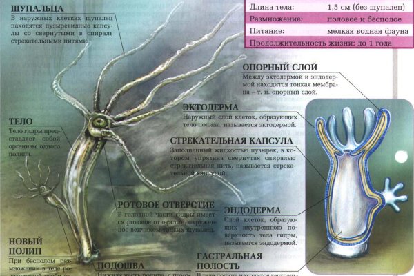 Кракен даркент